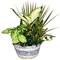 Blue Ribbon Gift Basket