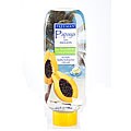 Accommodating article on Combo Hair Freeman 'Papaya & Melon' 2-in-1 13.5-oz Shampoo/ Conditioner (Pack of 4)
