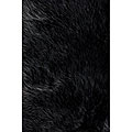 Jungle Sheep Skin Black Rug (3' x 5')