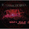 Gov't Mule - Mulennium