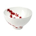 Free handy data on porcelain Red Mikasa Pure Red 9.75-inch Salad Bowl
