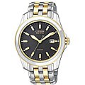 Citizen Men's Eco-Drive Stainless Steel Two-tone Watch