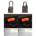 Brushed Nickel Cable and Sport Silver TSA Lock Set