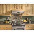 Broan Evolution 2 Series 30-inch Stainless Steel Under-cabinet Range Hood