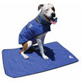 Tips on wholesale seafood online HyperKewl Evaporative Dog Extra Large Blue Cooling Mat