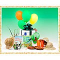 All About Bugs Nature Posh Party Box for 6