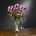 To find out more about iron Bird read this blog Silk 23-inch Parrot Tulips (Set of 12)
