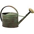 Handcrafted Americana Farmhouse Friends Ethel's Arm Watering Can (China)