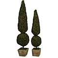 Set of 2 Rattan Regent Circle Topiaries