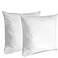 Sleepline Deluxe Euro Square Feather Pillows (Set of 2)