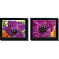 Ami Jukebox Control blogs and more! Amy Melious 'Purple Anemone' 2-piece Framed Canvas