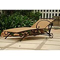 Advice blog on Stihl Chainsaw Grinders Valencia Resin Wicker/ Steel Frame Multi-Position Chaise Lounge