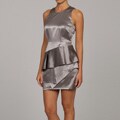 Laundry by Shelli Segal Women's Ruffle Zipper Dress