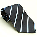 Platinum Ties Men's 'Blue Avenue' Tie