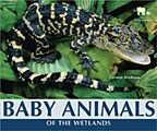Baby Animals of the Wetlands (Hardcover)