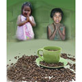 Essential guideline on Rescue Mannequins Aquatics Case of 88 0.5 Pound Medium Roast Coffee (Thailand)