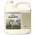 PondCare Algae Fix 64-oz Pond Treatment
