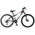 Victory Vision 8-Ball Bike
