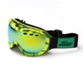 Optic Nerve Antero Poison Dart Frog Goggles