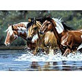 Artist's Collection Heading Upstream Paint By Number Kit (12x16)