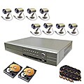 DVR Web-ready Security System with 8 CCD Gun Cameras and 1TB Hard Drive