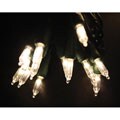 Holiday Incandescent-style Warm White LED Lights Strand