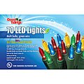 Holiday Incandescent-style 70 Multicolored LED Lights String