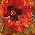 Nicole Etienne 'Red Poppy' Gallery Wrapped Canvas Art