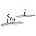 Danya B Wall Mount Silver Bookshelves (Set of 2)