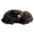 Perfect Petzzz Black Lab Lifelike Puppies (Pack of 12)