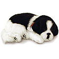 Perfect Petzzz Border Collie Lifelike Puppies (Pack of 12)