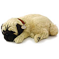 Perfect Petzzz Pug Lifelike Puppies (Pack of 12)