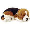 Perfect Petzzz Beagle Lifelike Puppies (Pack of 12)