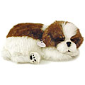Perfect Petzzz Shih Tzu Lifelike Puppies (Pack of 12)