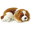 Perfect Petzzz Cavalier King Charles Lifelike Puppies (Pack of 12)
