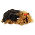 Perfect Petzzz Yorkie Lifelike Puppies (Pack of 12)