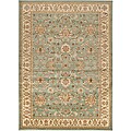 Loomed Free Form Seafoam Border Rug (5'3 x 7'6)