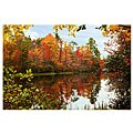 Orange Cat Art 'Hanging Rock Lake' Photographic Print