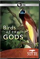 Nature: Birds of the Gods (DVD)