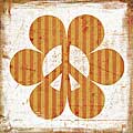 Suzanna Anna 'Flower Power Orange' Gallery-wrapped Canvas Art