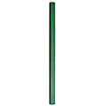 Duni Dark Green 100-ft Table Cover Roll