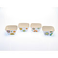 Certified International Modern Garden 5.25-inch Ice Cream Bowls