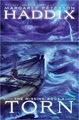 Torn (Hardcover)