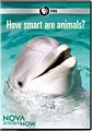 NOVA scienceNOW: How Smart Are Animals? (DVD)