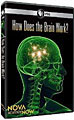 NOVA scienceNOW: How Does the Brain Work? (DVD)
