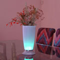 Atmosphere Rechargeable Color-changing Vase