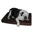 DreamyPet Medium 3-inch Memory Foam Dog Bed