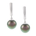 Sterling Silver Tahitian Pearl Earrings (9-10 mm)