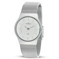 Skagen Women's Silvertone Stainless Steel Mesh Bracelet Silver Dial Watch