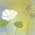 'Poppy Shadows II' Gallery-wrapped Canvas Art